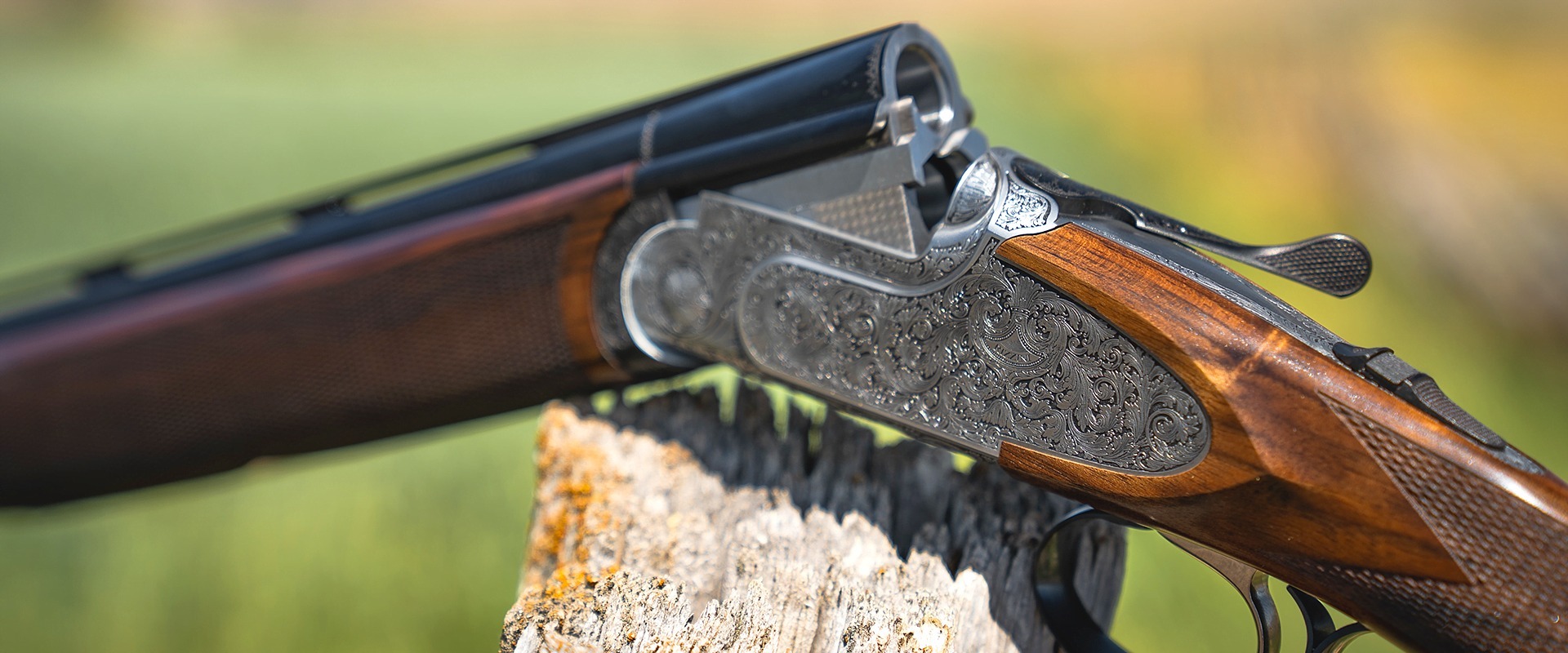 Rizzini Artemis on a log in a field